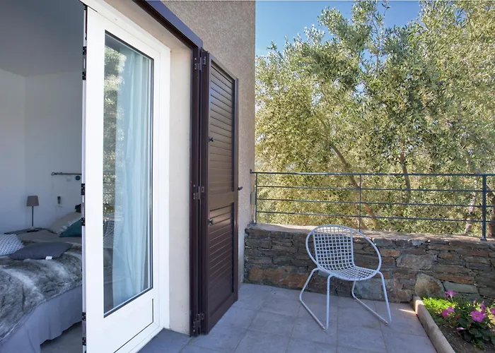 Domaine E Belle Bone